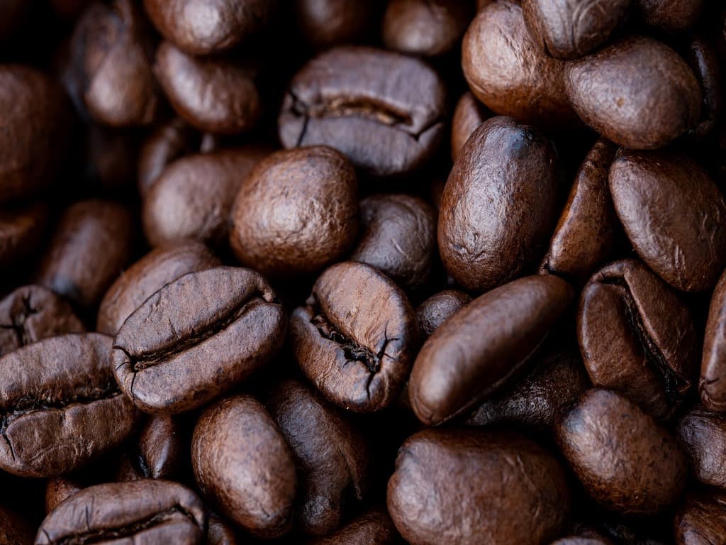 Coffee-Inspired Stays: Best Hotels and Guesthouses in Sri Lanka
